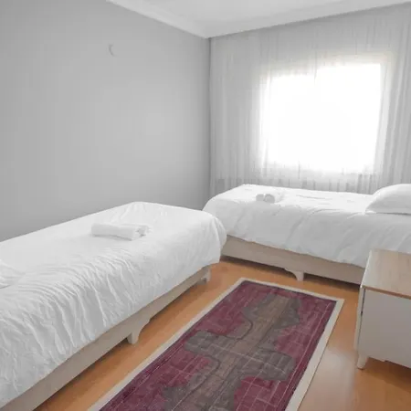 Large In A Quiet Area 40